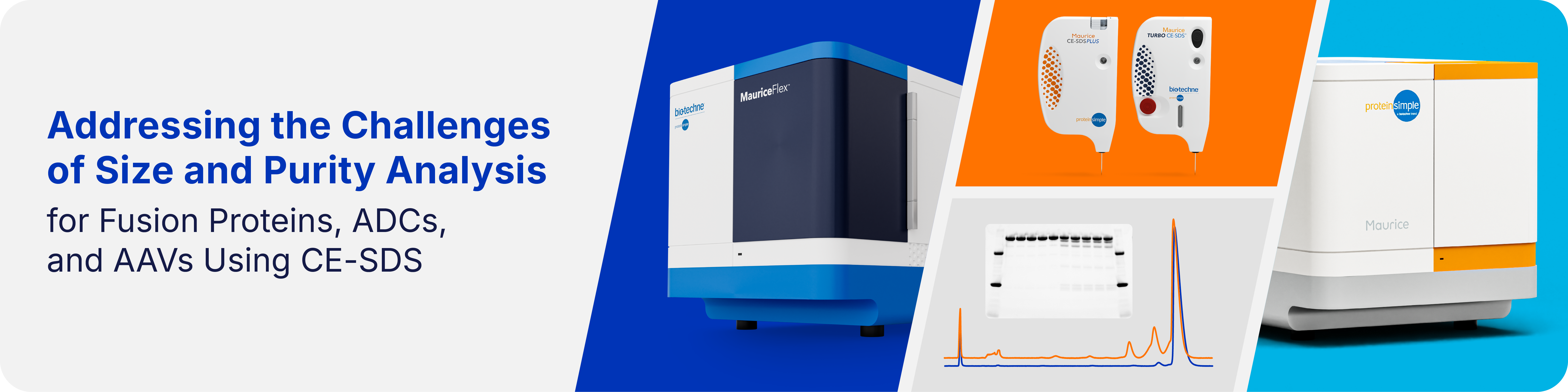 Addressing the Challenges of Size and Purity Analysis for Fusion Proteins, ADC&rsquo;s and AAV&rsquo;s Using CE-SDS