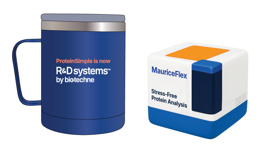 iCE25 Mug and Stress Ball