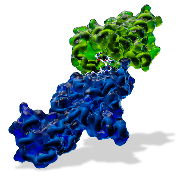 3D molecular structure of a protein degrader