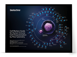 CharacterizationFlowCytometryPoster_Mockup.png