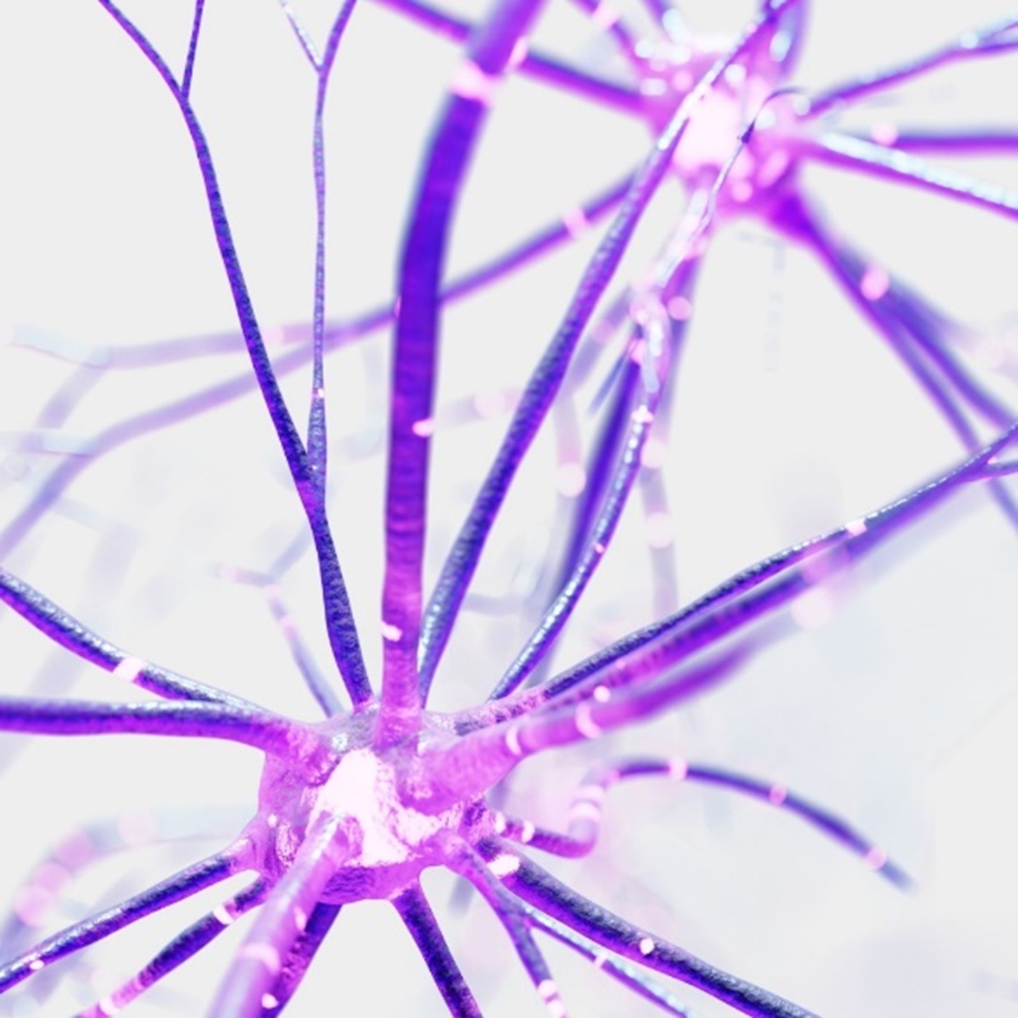 Bio-Techne Webinar
