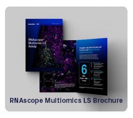 RNAscope Multiomics LS Brochure