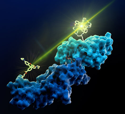 CoraFluor™ 2, Haloalkane