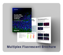 Multiplex Fluorescent Brochure