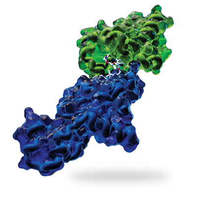 targeted protein degradation symposium